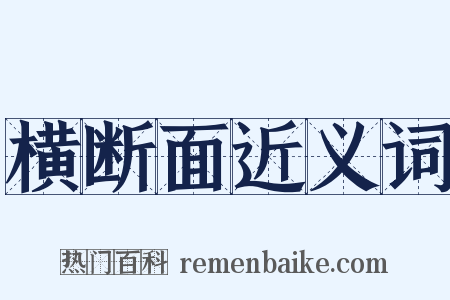 横断面近义词是什么意思的图片